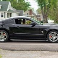 blackstang14